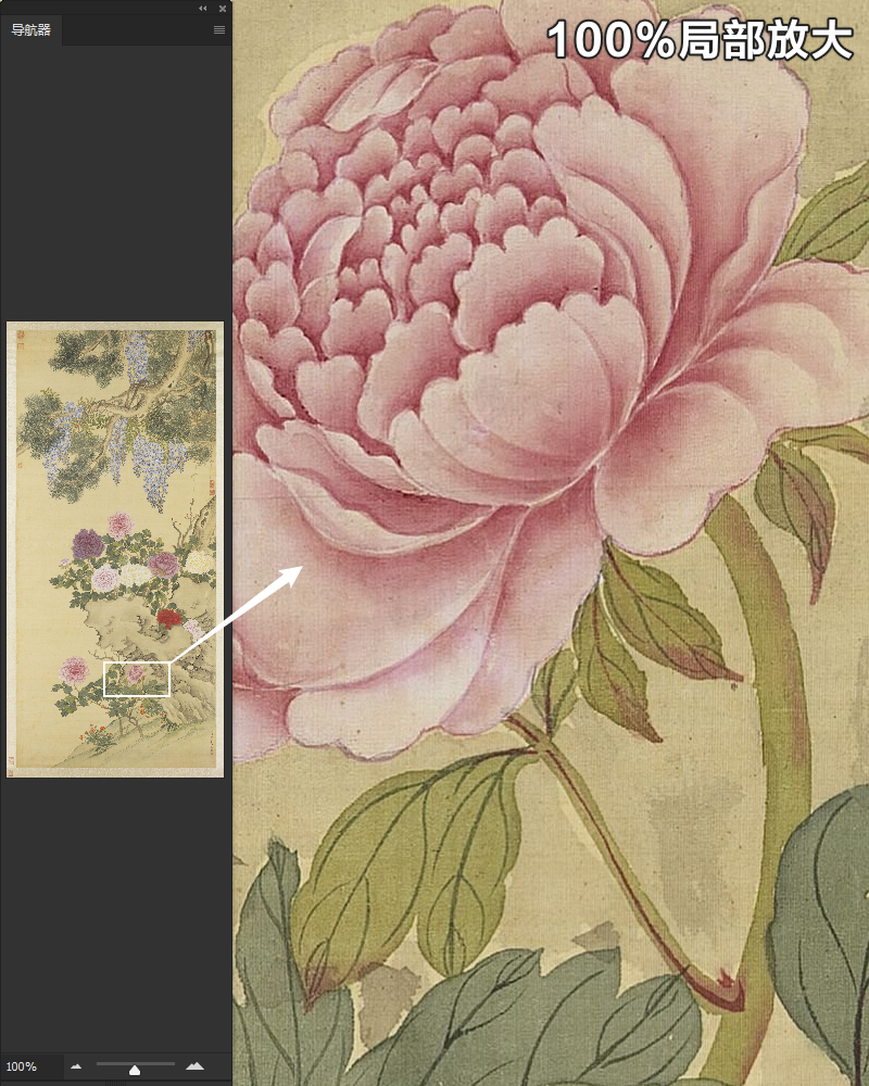 邹一桂花卉图轴清朝古代工笔菊花绘画装饰临摹高清电子版图片素材