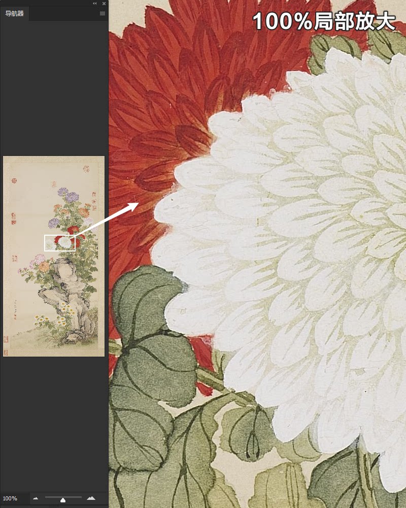 邹一桂画菊图轴清朝古代工笔白红紫黄菊花绘画高清电子版图片素材