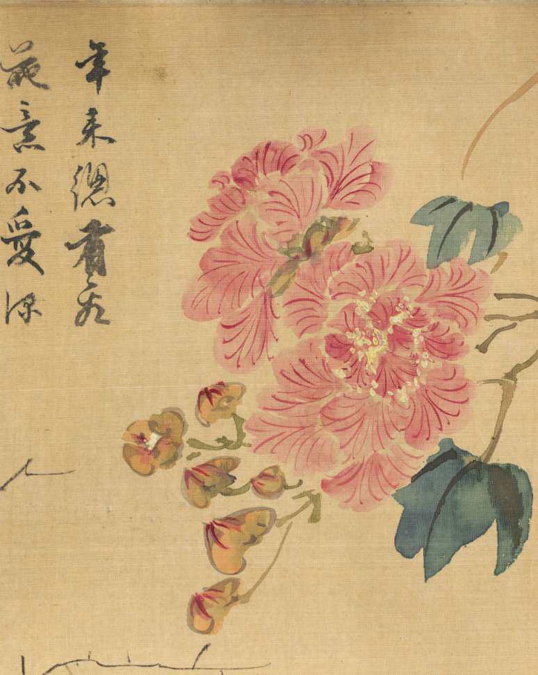 王谷祥四季花卉图卷明代古典花草国画高清参考临摹电子版图片素材