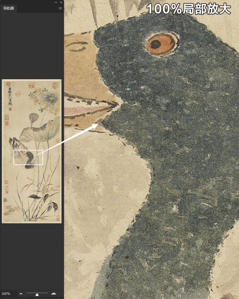 陈淳秋塘花鸭图明朝古代荷花野鸭花鸟绘画装饰高清电子版图片素材