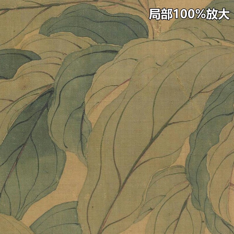 恽寿平五色芍药图立轴清朝工笔花卉装饰画打印高清电子版图片素材