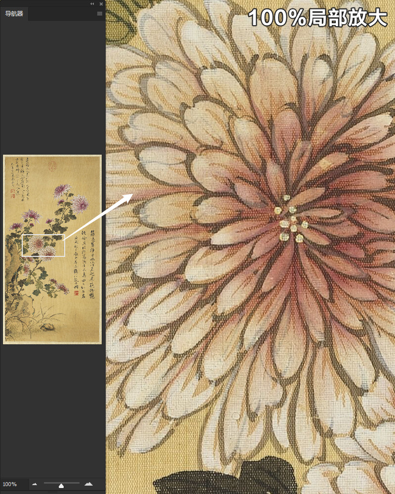 恽寿平画菊花图轴清朝古代写意花卉绘画装饰高清电子版大图片素材