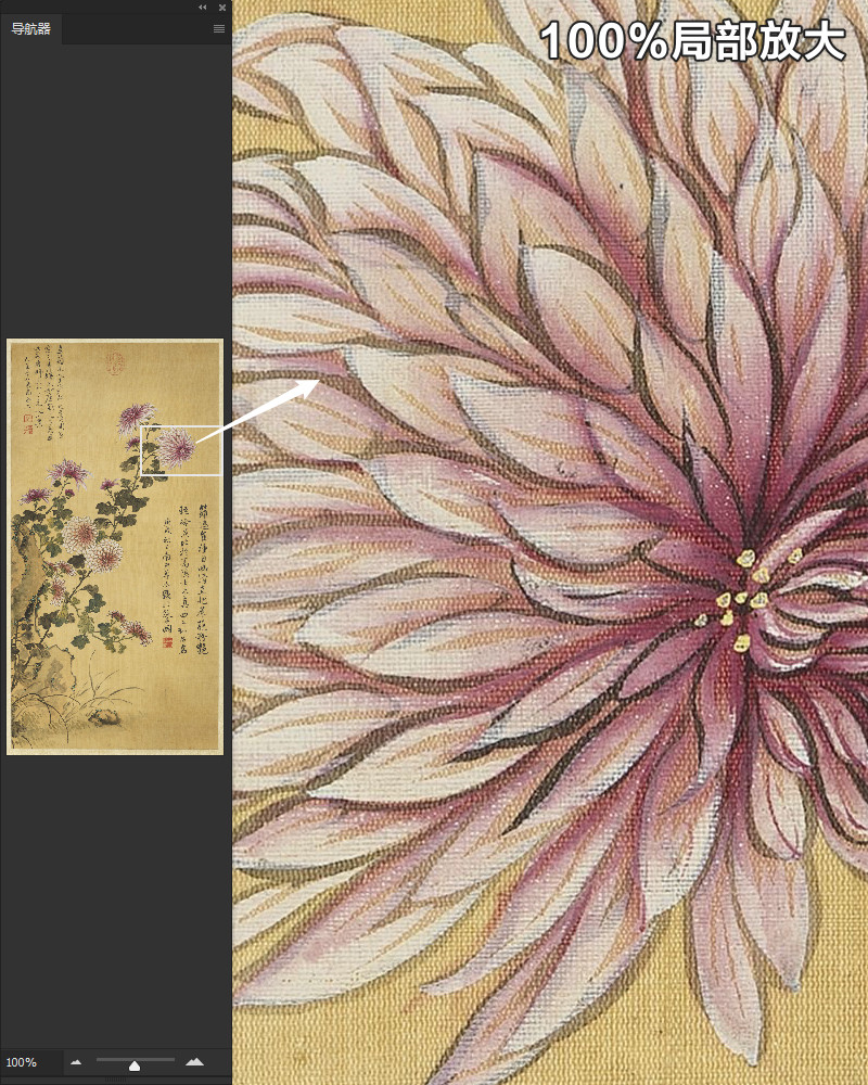 恽寿平画菊花图轴清朝古代写意花卉绘画装饰高清电子版大图片素材