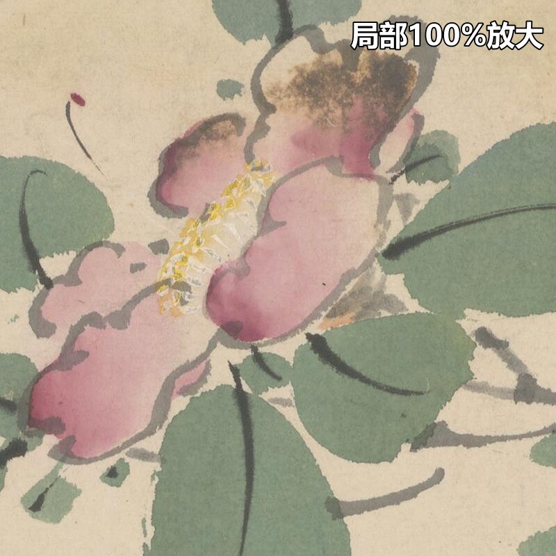 高阳花卉图卷明朝古代传统水墨绘画装饰打印临摹高清电子图片素材