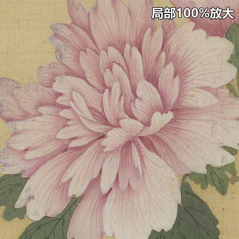 崔鏏花卉草虫图册18副清朝古代传统工笔绘画高清电子版大图片素材