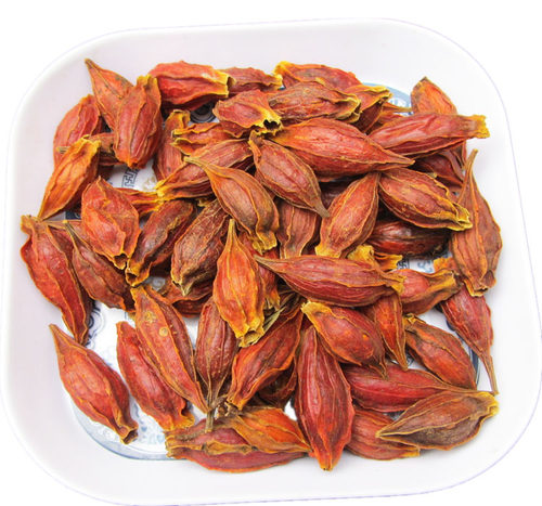 红栀子香料卤料上色常用无硫熏黄栀子枝子可泡水栀子茶中药材新货 - 图1