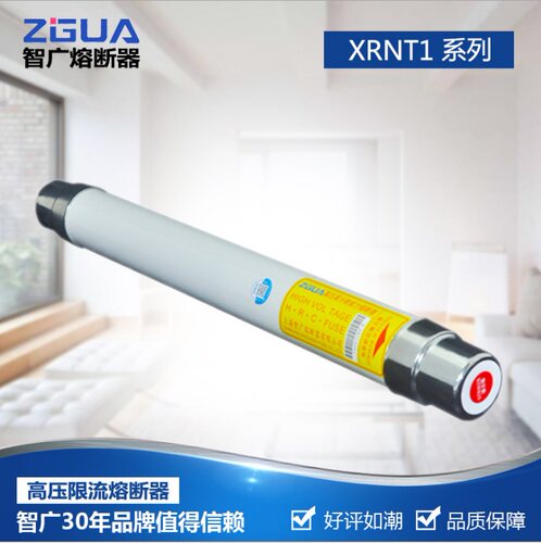 智广高压高分断能力限流熔断器保险管XRNT1-20/24KV/10A16A25A40A - 图0