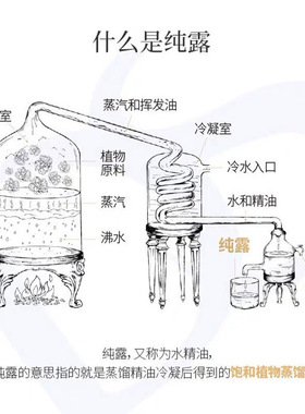 任选2瓶】瑶域玫瑰精华纯露补水提亮肤色爽肤喷雾水疗湿敷孕妇敏