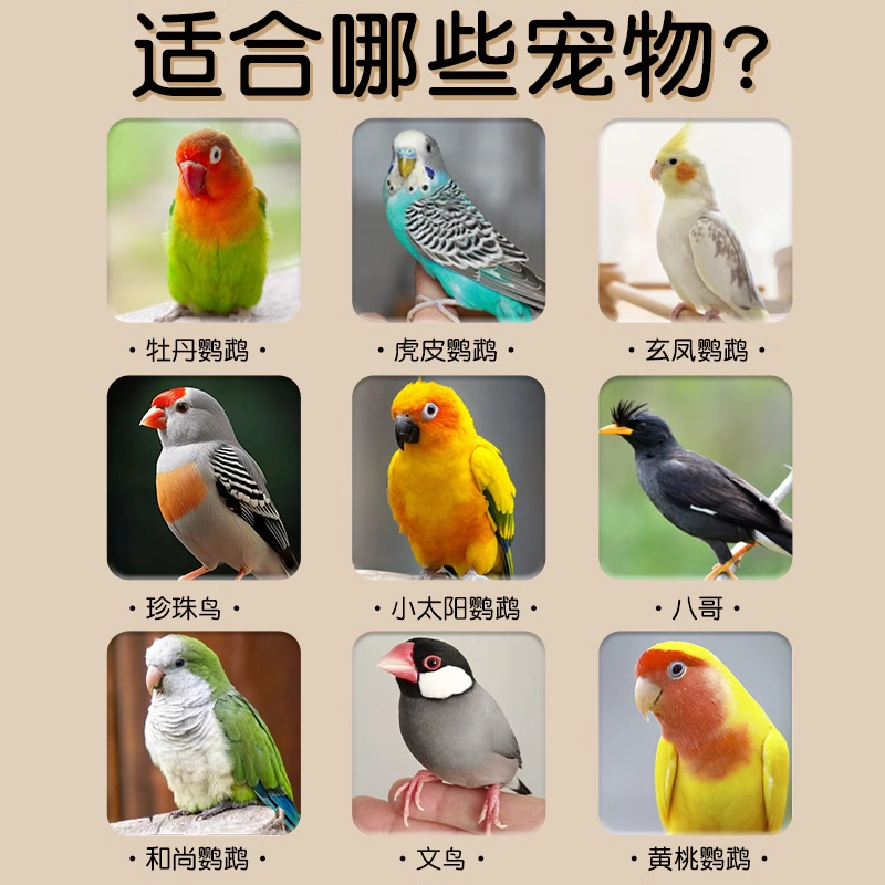 和尚玄凤鹦鹉玩具解闷自嗨鸟秋千训练娱乐原木鸟用品吊桥攀爬云梯,淘宝优惠券,粉丝福利购,淘宝优惠卷