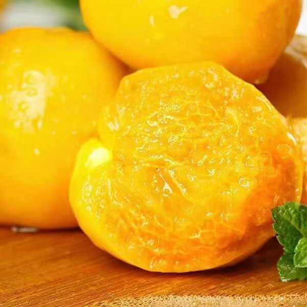 正宗新鲜杏子敦煌李广杏8斤时令水果营养丰富无公害果园直发顺丰,淘宝优惠券,粉丝福利购,淘宝优惠卷