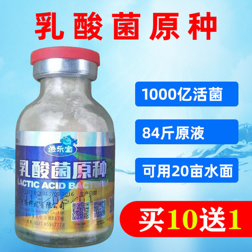水产养殖乳酸菌乳酸菌原种乳酸菌水产em菌原种水产芽孢杆菌调节ph - 图0