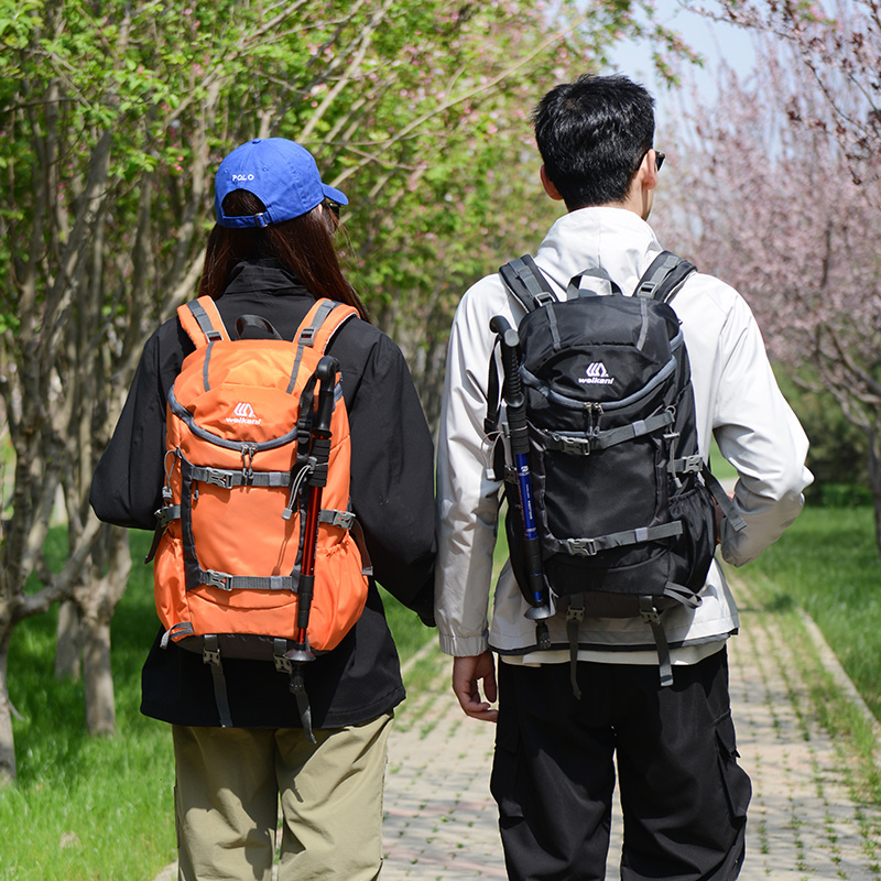 户外登山旅行背包女双肩包男运动包防泼水大容量30L行李包书包