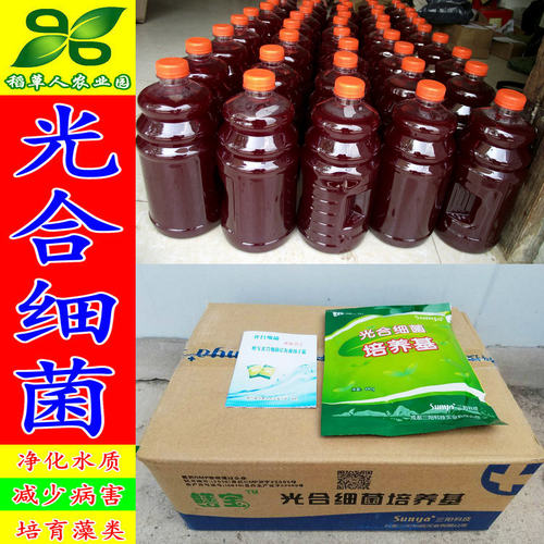 光合细菌培养基 鳝宝消化族鱼虾蟹水产渔药 净化水质PSB菌种 包邮 - 图0