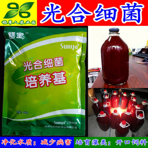 光合细菌培养基 鳝宝消化族鱼虾蟹水产渔药 净化水质PSB菌种 包邮 - 图2