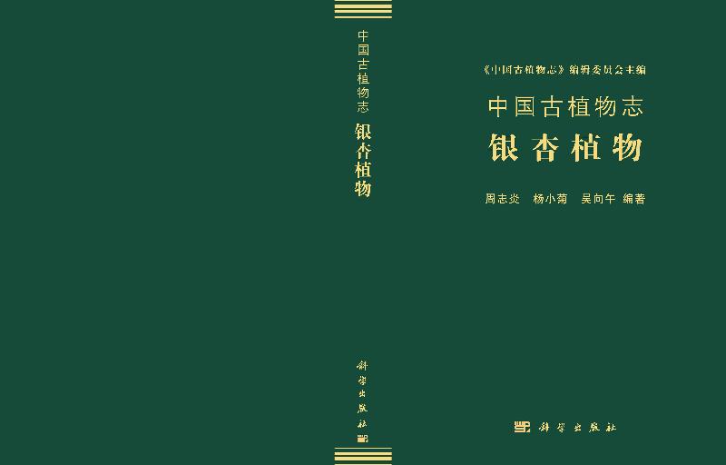 中国古植物志：银杏植物/周志炎 杨小菊 吴向午科学出版社 - 图2