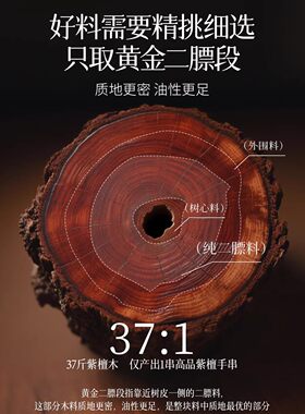 【普陀山正品】印度小叶紫檀手串男士文玩佛珠檀香手链送生日礼物