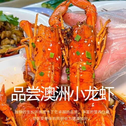 淡水养殖澳洲小龙虾蓝龙虾小青龙大虾特大号鲜活顺丰包邮5斤装 - 图1