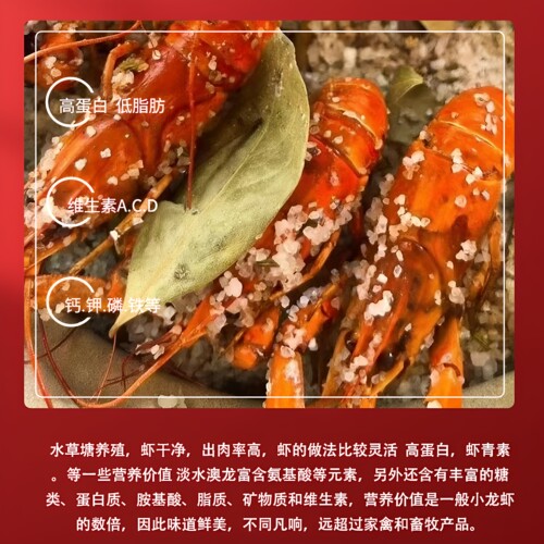 淡水养殖澳洲小龙虾蓝龙虾小青龙大虾特大号鲜活顺丰包邮5斤装 - 图2