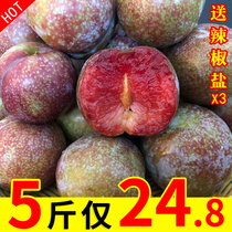 (Big Fruit Quick Hair) Fresh now off Guangxi Zhengzong Sanhua Li Non-money Red Hearts Li Zi pregnant women When Ji Fruit