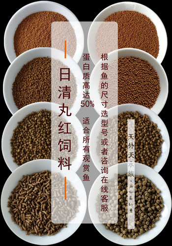 日本日清丸红B1B2C1S1饲料热带鱼金鱼通用鱼粮孔雀鱼灯鱼兰寿鱼食 - 图2