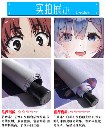 从零开始的异世界生活蕾姆动漫挂画定制海报来图定做二次元卷轴画 - 图1