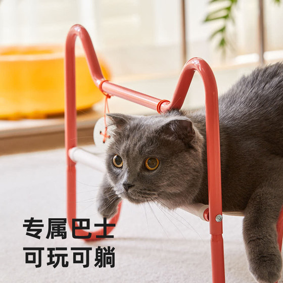 Cat Bed Cat Summer Camp Bed