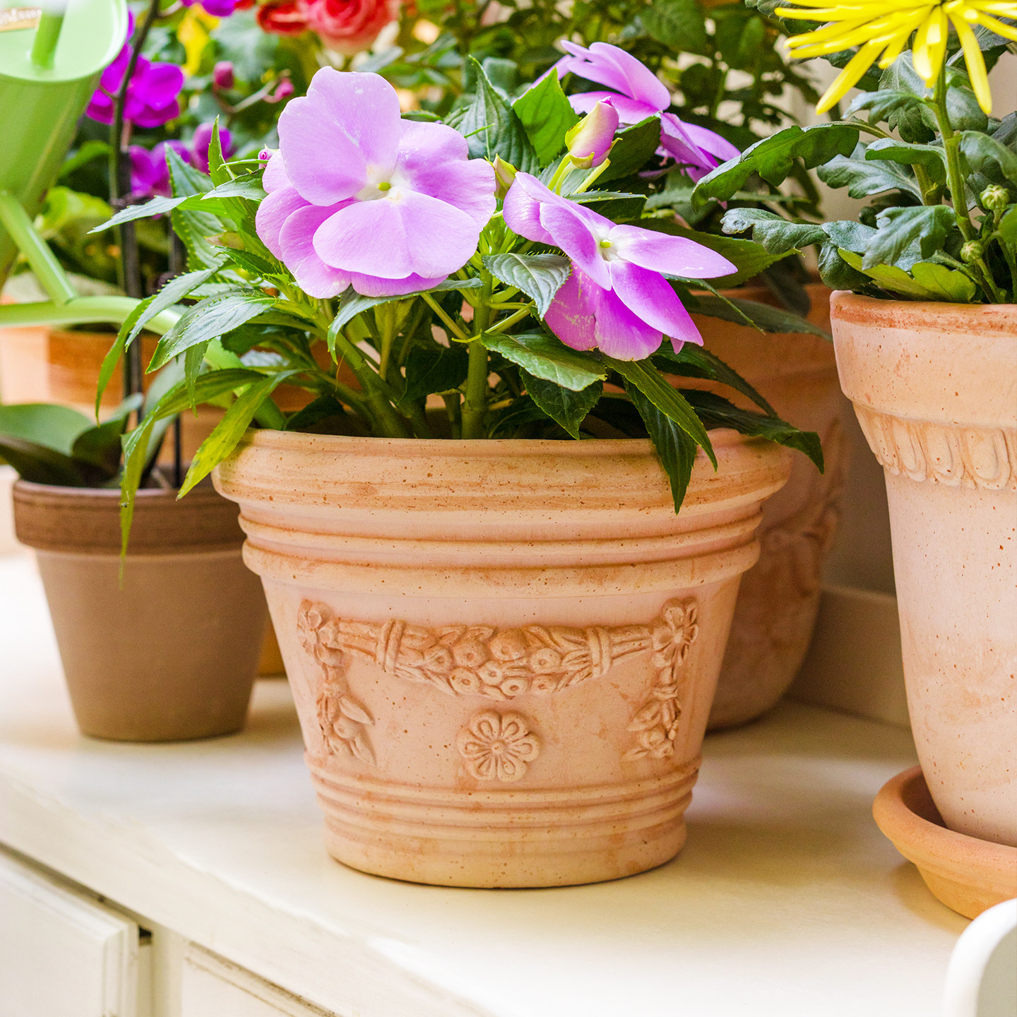 Berry&Bird园艺森林意大利进口手工盆罗马复古浮雕花盆透气红陶盆,淘宝优惠券,粉丝福利购,淘宝优惠卷