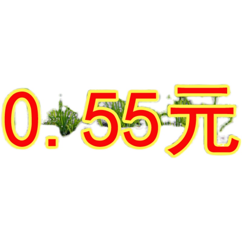 洗相片 冲洗照片柯达皇家绒面6寸印照片冲印满19元/江浙沪包邮 - 图1