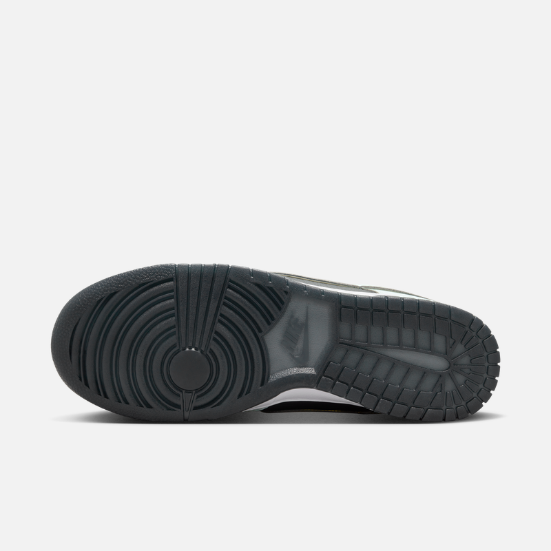 Nike耐克官方DUNK LOW男子运动鞋夏季低帮胶底板鞋复古轻便FZ1670 - 图0