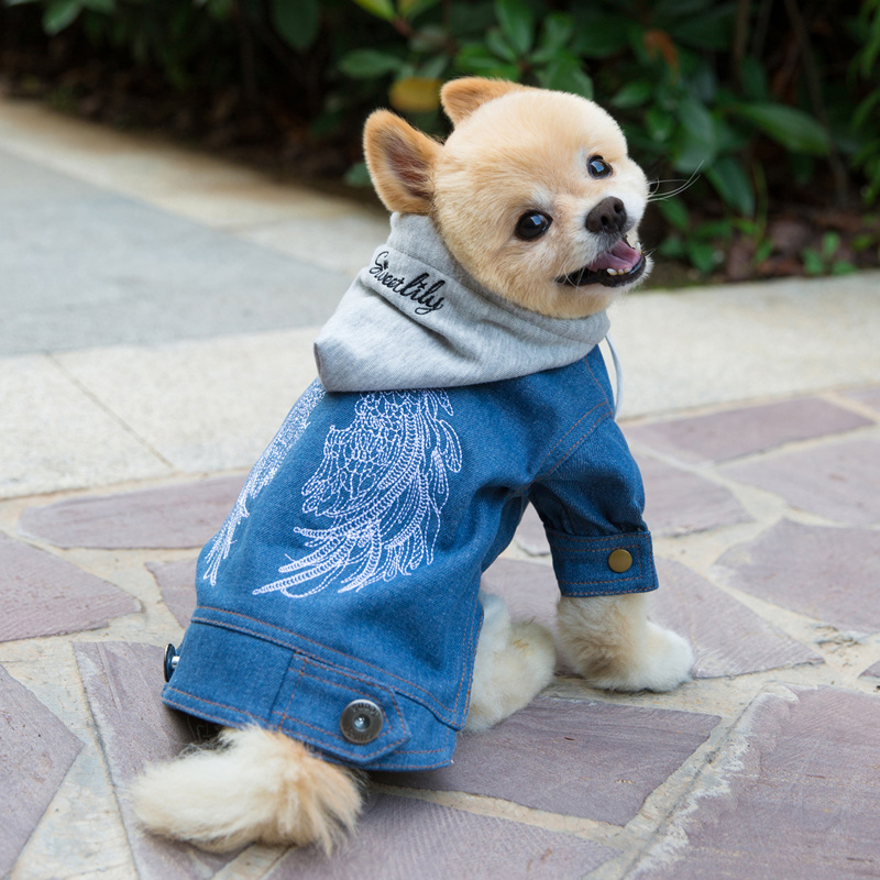 天使的翅膀狗狗牛仔衣服 刺绣 泰迪比熊狗衣服秋季款小型犬秋冬 - 图2