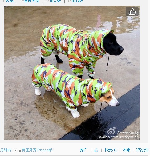 包邮 全包式连体迷彩狗狗雨衣大狗中大型犬金毛泰迪防水四脚连体 - 图2