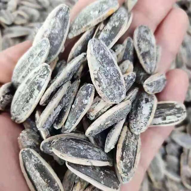 Large grain sea salt melon seeds pepper salt sunflower seeds 500g/100g nuts snack roasted seeds and nuts