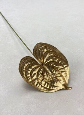 塑料假花福桶金掌单支