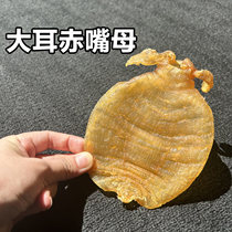 Bao Un (Chen Old Glue) Zhengzong Dural Golden Lan Red Mouth Fish Gum Pregnant Woman Mother Belly Barebilled Mother Flower Glue Dry Goods