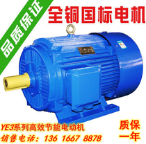 Total copper three-phase asynchronous motor 11 15 18 5 18 22 22 30 30 55 KW 55 KW 45KW national scale 380V motor