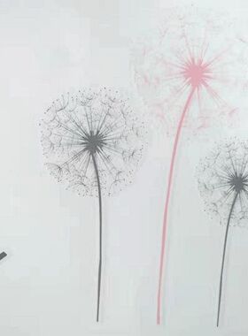 免漆正贴单车情侣水转印花纸