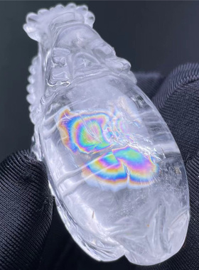 包裹雕刻龙龟能量男女款吊坠特惠