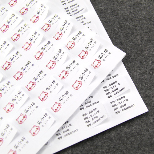LOPAL/乐标A4不干胶打印纸激光喷墨背胶纸84格哑光面30*20内切割可手写空白标签纸 - 图3