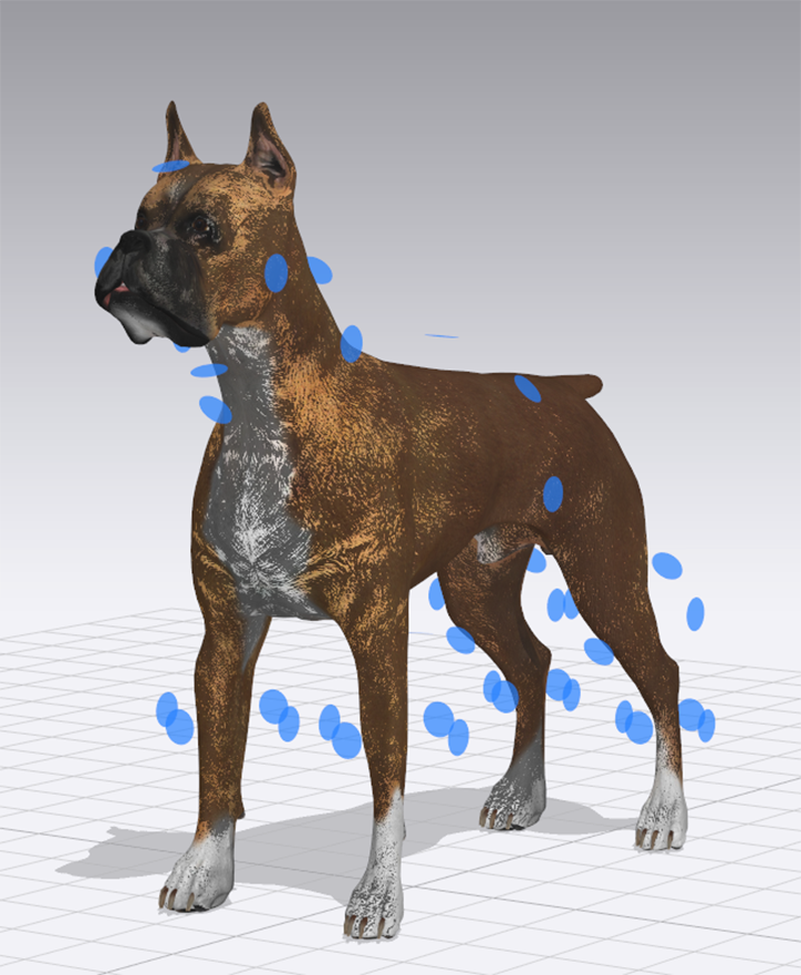 CLO3D/MD素材文件3D模特素材3D动物模型狗狗模型-图2