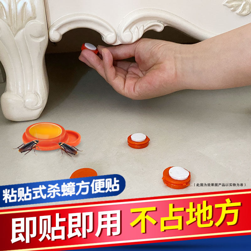 赵师傅杀蟑胶饵蟑螂药非无毒一窝全窝蟑螂厨房室内端灭杀胶饵