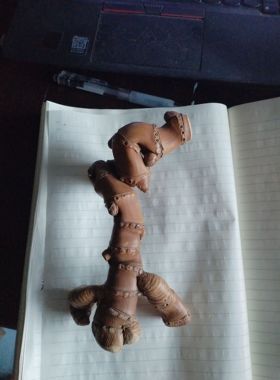 老竹根异形竹鞭子手把摆件烟斗杆形10年以上存料已养色