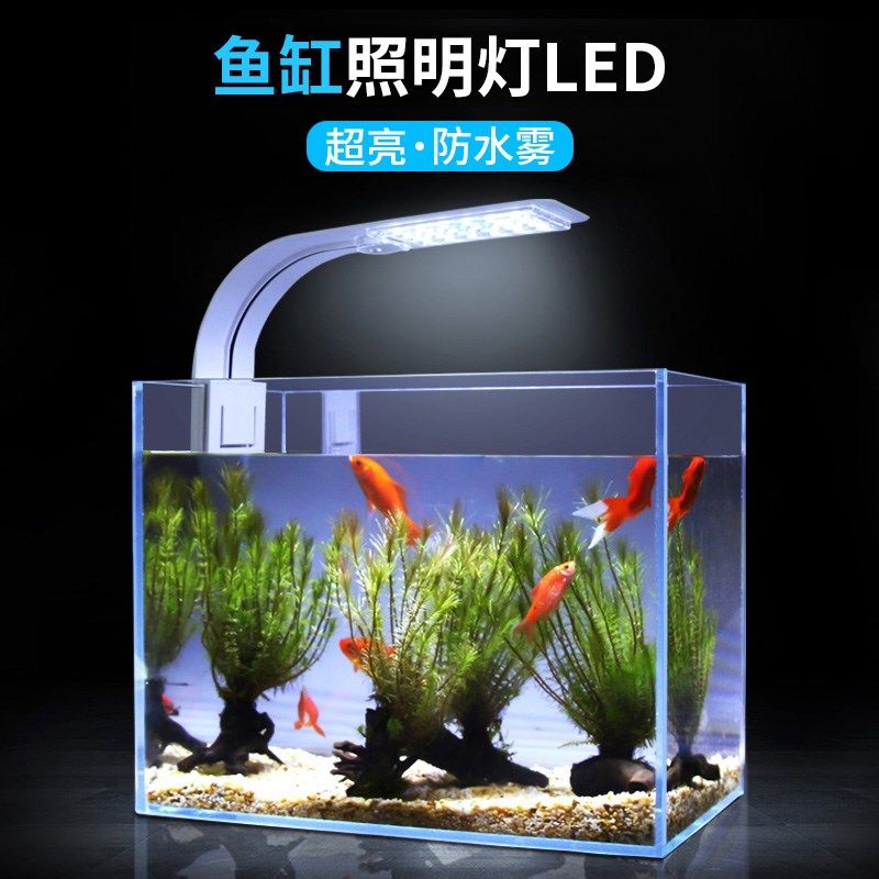 夜间照明小灯 新人首单立减十元 21年7月 淘宝海外