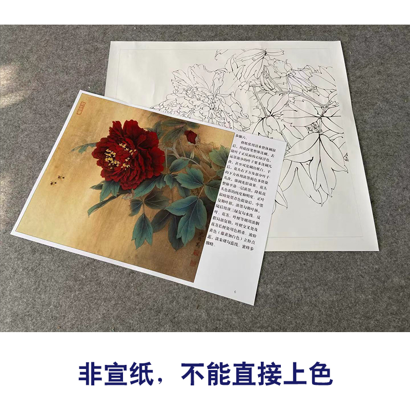 【有步骤、大彩图】李晓明工笔画白描底稿牡丹小品《大宋紫》KD11-图1