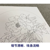 Dai Qingchi Gongbi Painting Bai Draft Peony Clear Anti -Bird aef из четырех новичков 35*35 см TD03