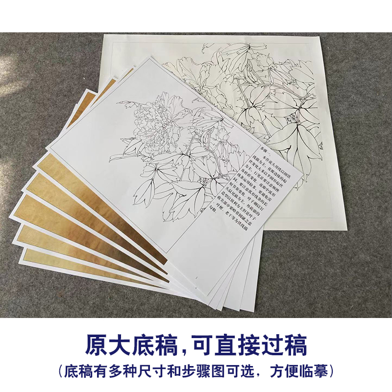 【有步骤、大彩图】李晓明工笔画白描底稿牡丹小品《大宋紫》KD11-图0