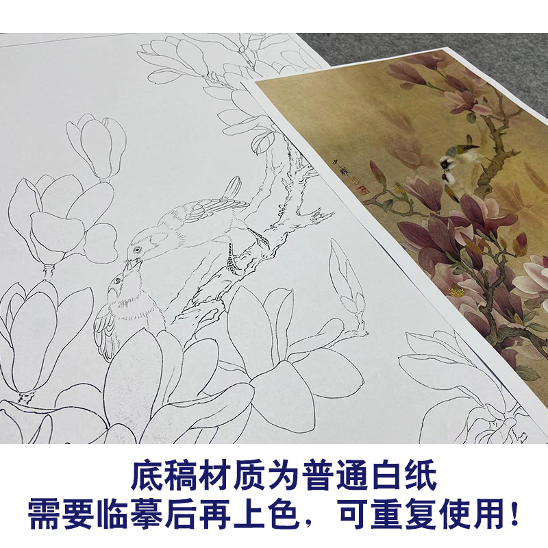 周中耀工笔画白描底稿兰花《红玉兰》临摹勾线高清打印稿ZT08 - 图2