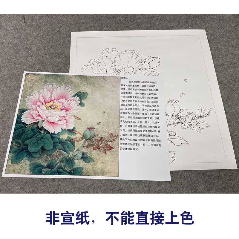 【有步骤、大彩图】李晓明工笔画白描底稿牡丹小品《赛珠盘》KD33 - 图1