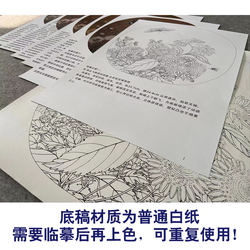 【有步骤、大彩图】李晓明工笔画白描底稿《临宋菊丛飞蝶图》KC05 - 图2