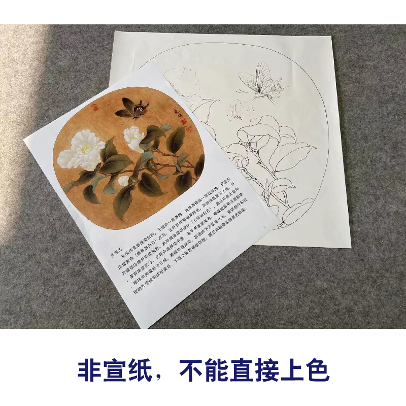 【有步骤、大彩图】李晓明工笔画白描底稿圆形《茶花蝴蝶图》KC01-图1