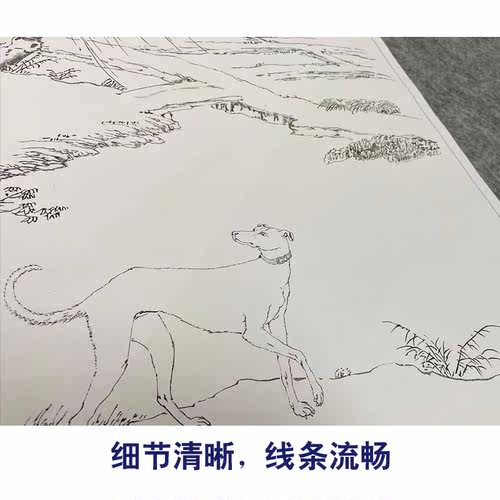 艾启蒙工笔画白描底稿金翅猃斑锦彪一套十幅尺寸42*52厘米GG02 - 图3